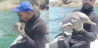 Pescador viraliza após salvar e beijar filhote de golfinho: ‘Ganhei o ano’