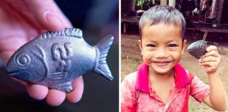 Este peixe de ferro salva a vida de milhares de crianças com anemia