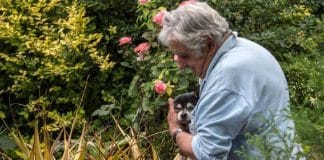 Ex-presidente do Uruguai pede pra ser enterrado com sua cachorra. Foram 22 anos de amor