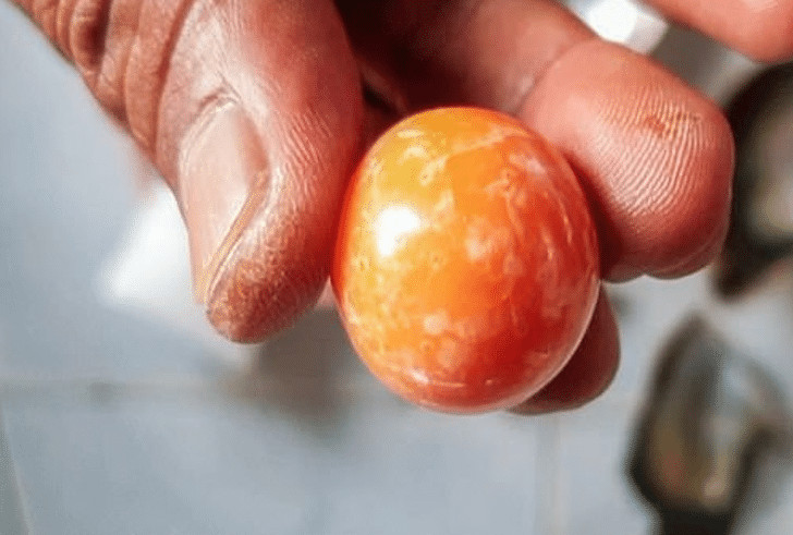 revistapazes.com - Pescador tailand&ecirc;s encontra p&eacute;rola de laranja avaliada em mais de 300 mil d&oacute;lares