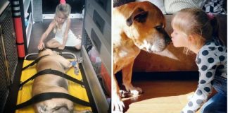 Garotinha de 6 anos permanece ao lado de seu melhor amigo cão idoso até seu último