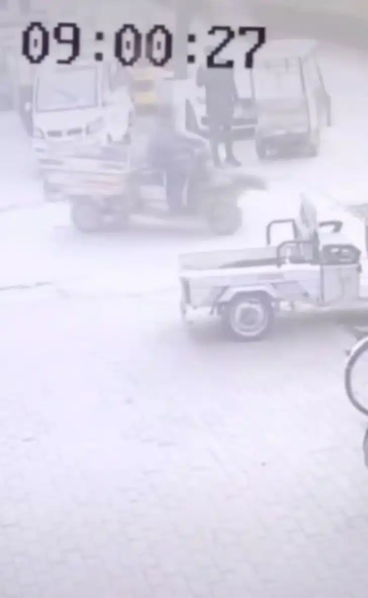 O filhote pede para que achem seu melhor amigo sequestrado revistapazes.com - O filhote pede para que achem seu melhor amigo sequestrado