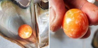 Pescador tailandês encontra pérola de laranja avaliada em mais de 300 mil dólares