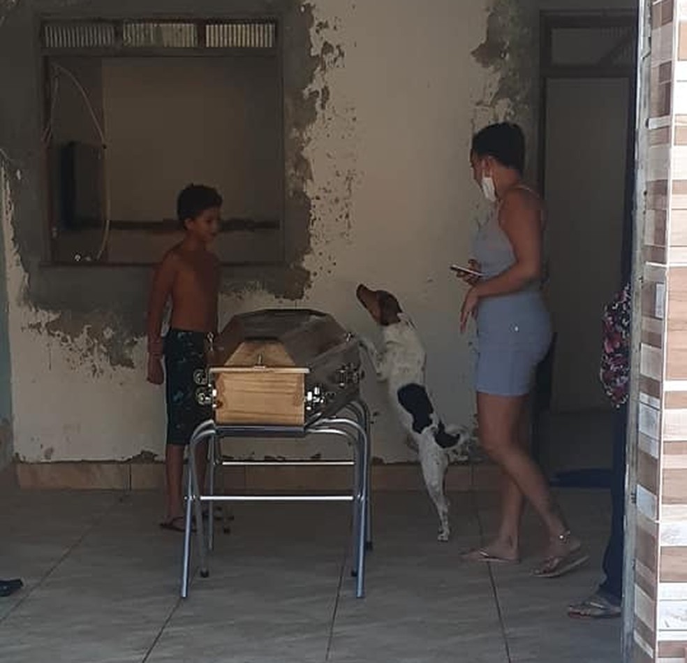 revistapazes.com - Cachorro chora e acompanha velório da dona ao lado do caixão da sua dona e comove a internet