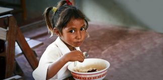 Milhões de pessoas vão enfrentar a fome na América Latina até 2030, diz ONU alimentar até o ano de 2030