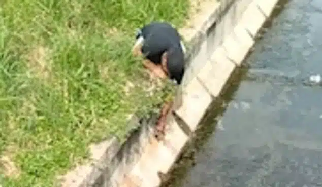 revistapazes.com - Homem com deficiência física 'rasteja' até encosta para resgatar gatinho perdido