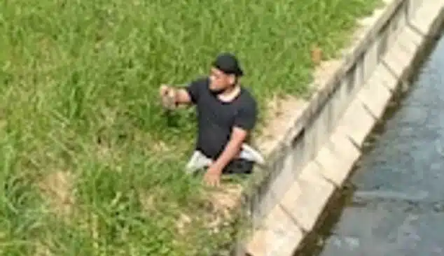 revistapazes.com - Homem com deficiência física 'rasteja' até encosta para resgatar gatinho perdido