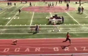 Cachorrinha 'invade' pista de atletismo para vencer, com folga, corrida de revezamento revistapazes.com - Cachorrinha 'invade' pista de atletismo para vencer, com folga, corrida de revezamento