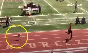 Cachorrinha 'invade' pista de atletismo para vencer, com folga, corrida de revezamento revistapazes.com - Cachorrinha 'invade' pista de atletismo para vencer, com folga, corrida de revezamento