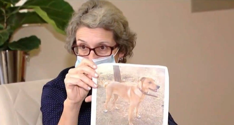 revistapazes.com - Mulher viaja 1.300 km para reencontrar seu cachorrinho perdido: 'De Santa Catarina à Minas Gerais'