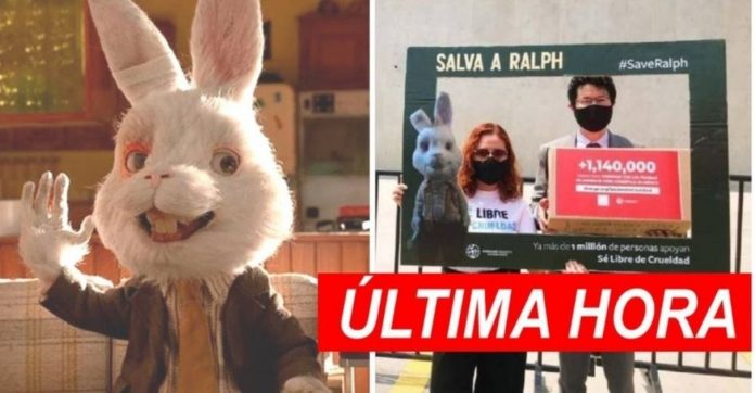 Campanha de ‘Save Ralph’ surte efeito: México proíbe testagem de produtos em animais