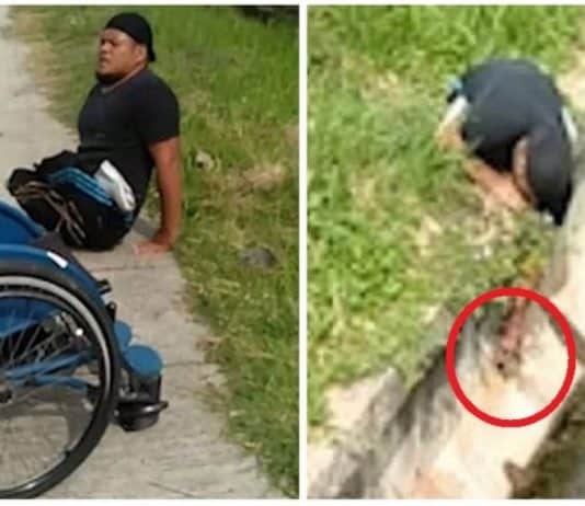 Homem com deficiência física ‘rasteja’ até encosta para resgatar gatinho perdido