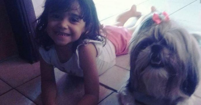 Cadelinha sacrifica a própria vida para salvar menina de 8 anos de ataque de pit bull