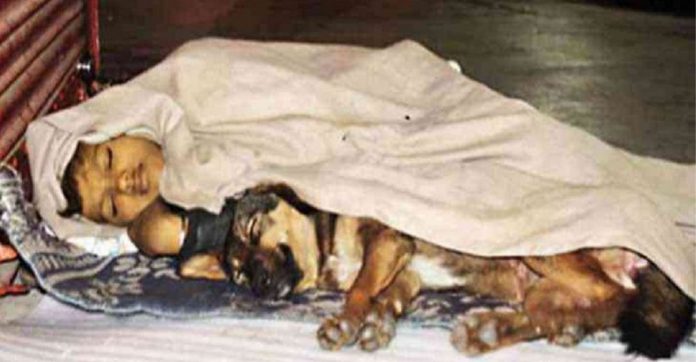 Fotografia de criança dormindo na rua com seu cachorrinho comove redes sociais
