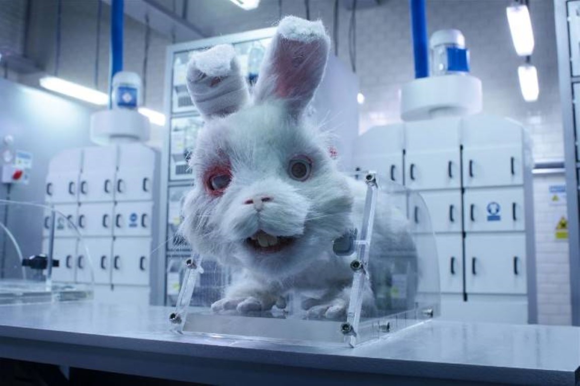 revistapazes.com - Campanha de 'Save Ralph' surte efeito: México proíbe testagem de produtos em animais