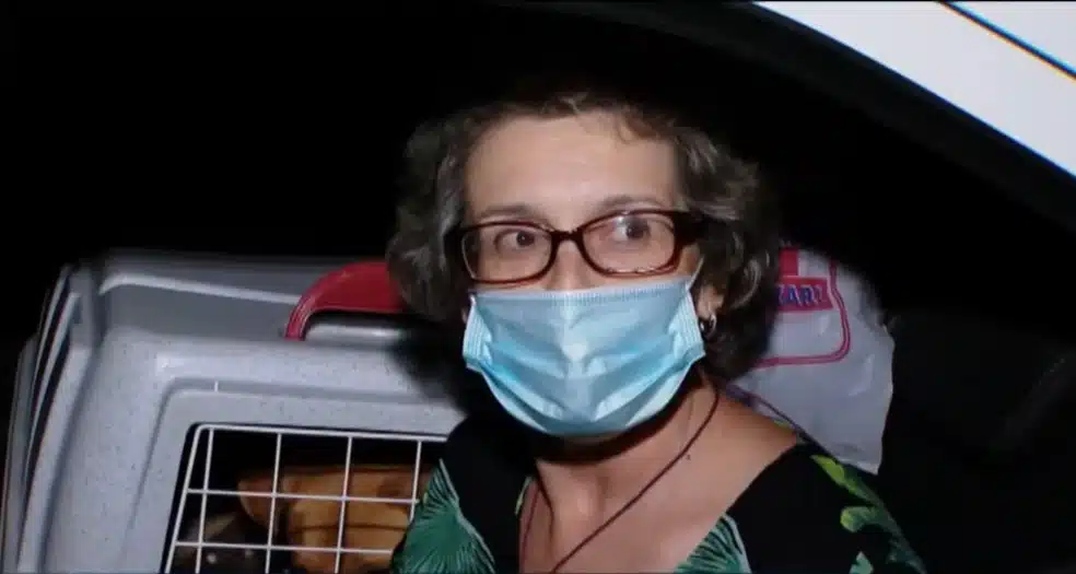 Mulher viaja 1.300 km para reencontrar seu cachorrinho perdido: 'De Santa Catarina à Minas Gerais' revistapazes.com - Mulher viaja 1.300 km para reencontrar seu cachorrinho perdido: 'De Santa Catarina à Minas Gerais'