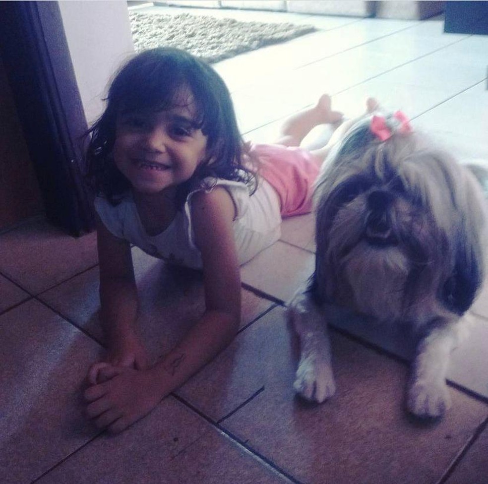 revistapazes.com - Cadelinha sacrifica a própria vida para salvar menina de 8 anos de ataque de pit bull