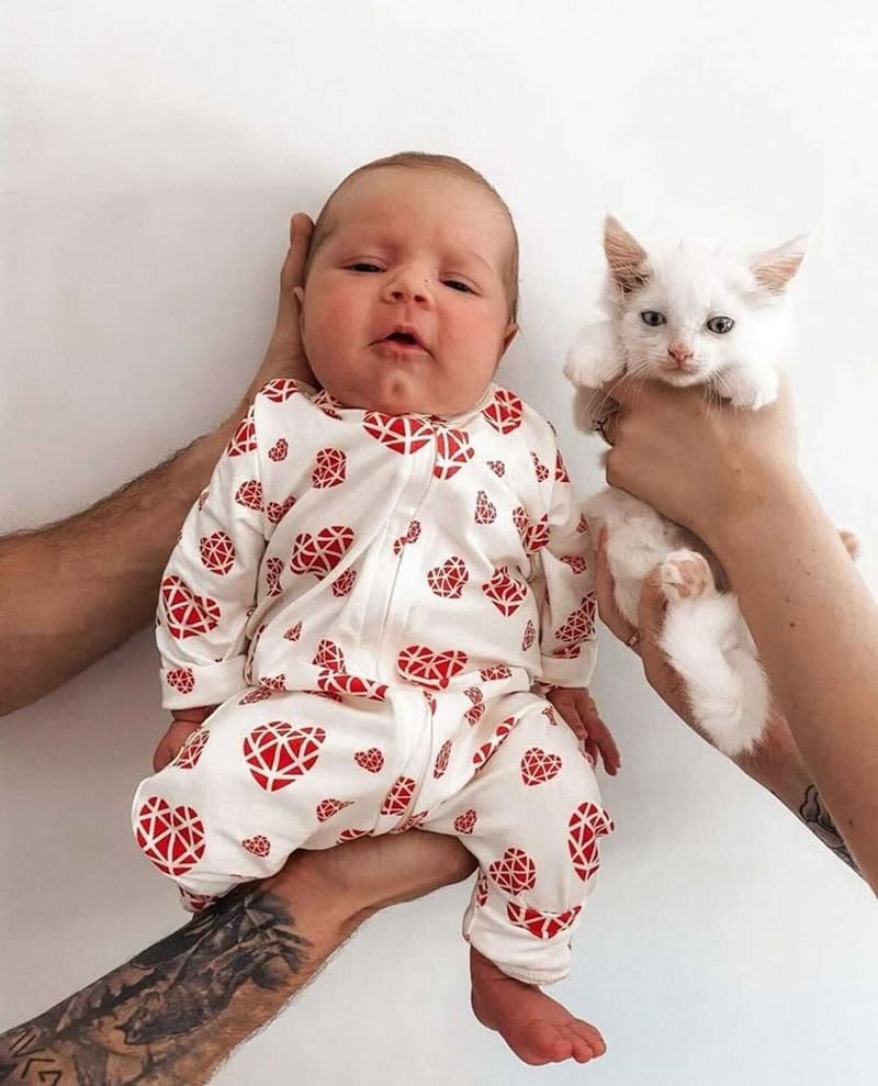 revistapazes.com - Mulher grávida adota gatinha prenha que encontrou vivendo nas ruas: 'Companheiras de gravidez'