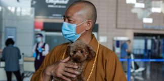 Monge salva a vida de mais de 8 mil cachorros abandonados na China