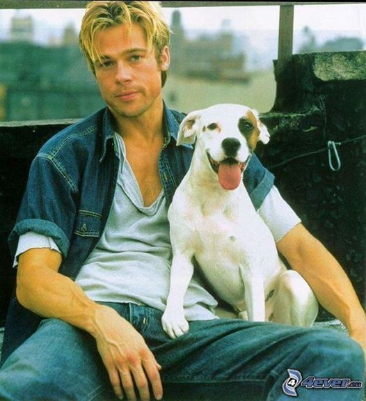 revistapazes.com - Brad Pitt interrompeu filmagem de clássico para ajudar 13 animais de rua - 3 foram adotados por ele