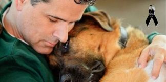 Apresentador de TV mexicano lamenta morte de seu amado cachorrinho, vítima de um infarto