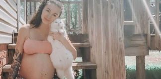 Mulher grávida adota gatinha prenha que encontrou vivendo nas ruas: ‘Companheiras de gravidez’