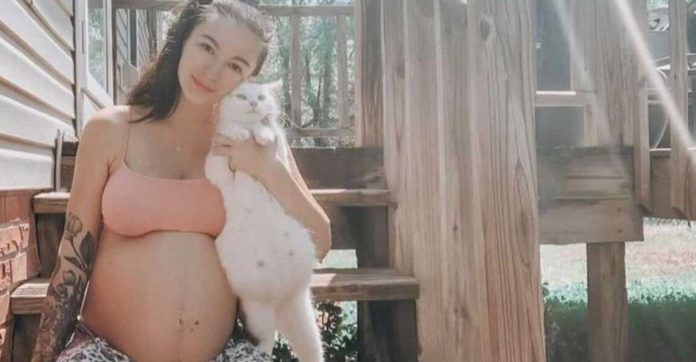 Mulher grávida adota gatinha prenha que encontrou vivendo nas ruas: ‘Companheiras de gravidez’