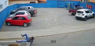 Em vídeo inusitado, cachorro atropela homem que tentava atravessar rua; assista