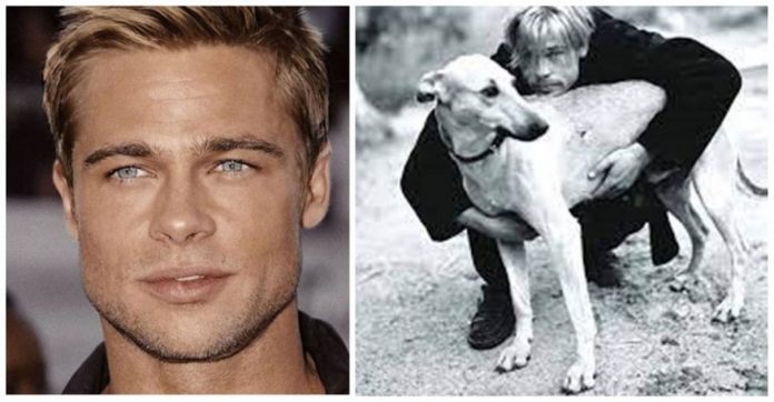 Brad Pitt interrompeu filmagem de clássico para ajudar 13 animais de rua – 3 foram adotados por ele