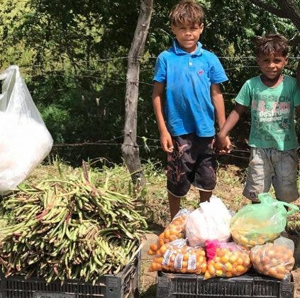 revistapazes.com - Irmãos de 7 e 9 anos que vendiam verduras na rua vão à escola pela primeira vez