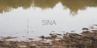 Sina, por Áquila Emanuelle.