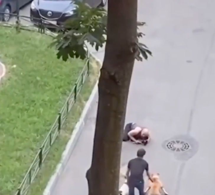 revistapazes.com - Homem protege seu cãozinho idoso com o próprio corpo contra ataque de pit bulls