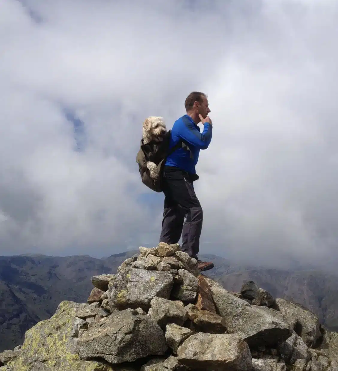 Dono carrega seu cachorrinho com leucemia até pico de montanha em última aventura juntos: 'Fiel companheiro' revistapazes.com - Dono carrega seu cachorrinho com leucemia até pico de montanha em última aventura juntos: 'Fiel companheiro'