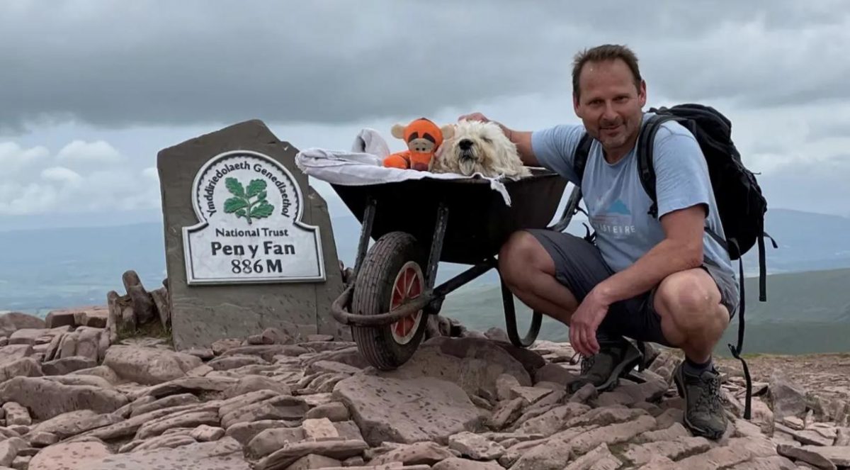 revistapazes.com - Dono carrega seu cachorrinho com leucemia até pico de montanha em última aventura juntos: 'Fiel companheiro'