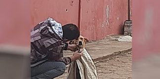 Jovem agasalha cachorro de rua por causa do frio e foto viraliza nas redes socias