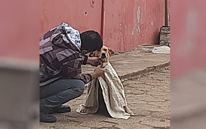 Jovem agasalha cachorro de rua por causa do frio e foto viraliza nas redes socias