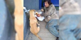 Morador de rua é ‘flagrado’ compartilhando a única comida que tinha com seu cachorrinho