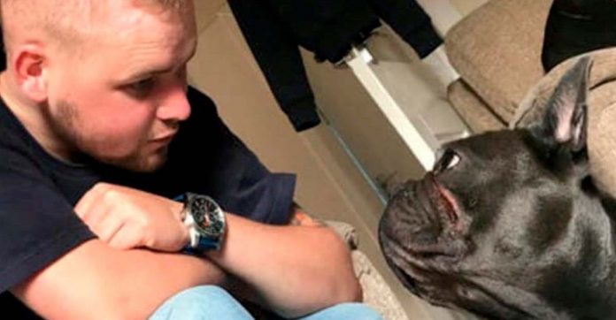 Cachorrinho falece 15 minutos depois do tutor, de 25 anos, vítima de um câncer cerebral