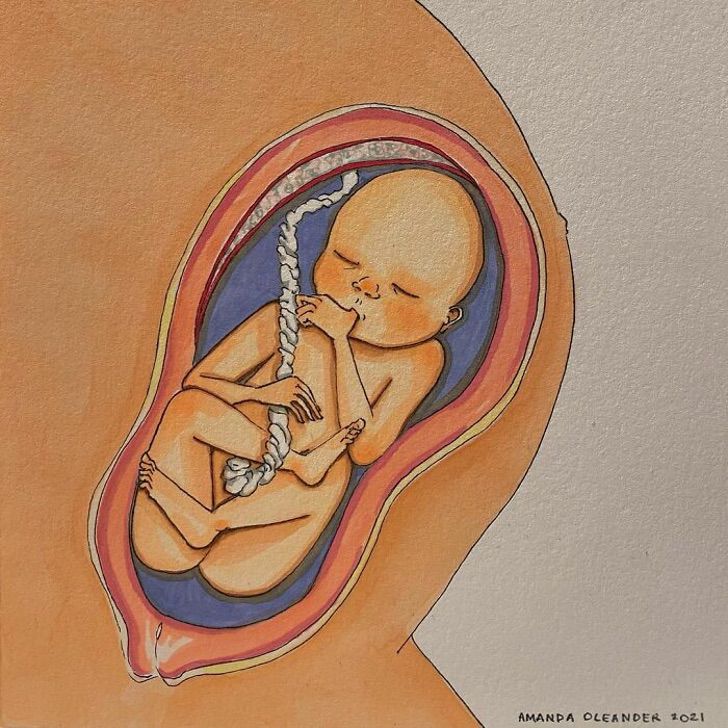 revistapazes.com - 20 ilustrações honestas que mostram como é a jornada da gravidez e da maternidade