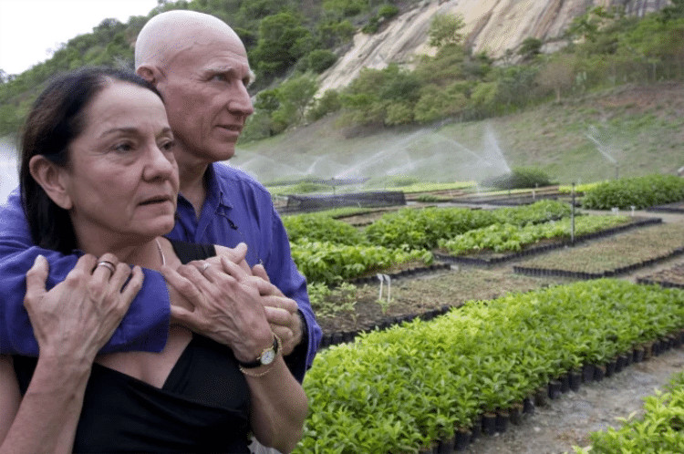 revistapazes.com - Ao longo de vinte anos, casal planta 2 milh&otilde;es de &aacute;rvores em &aacute;rea devastada por fogo