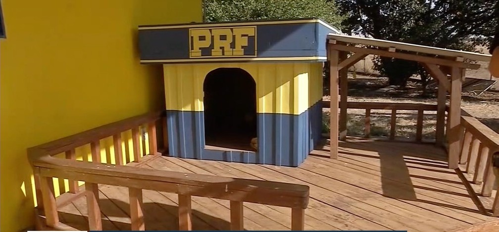 revistapazes.com - Cachorros adotados por policiais ganham 'mini-moradias' construídas por detentos em ressocialização
