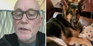 Cachorrinha salva a vida do seu dono que teve um AVC meses após ser adotada por ele