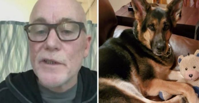 Cachorrinha salva a vida do seu dono que teve um AVC meses após ser adotada por ele