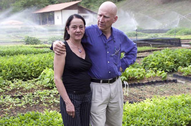 revistapazes.com - Ao longo de vinte anos, casal planta 2 milhões de árvores em área devastada por fogo