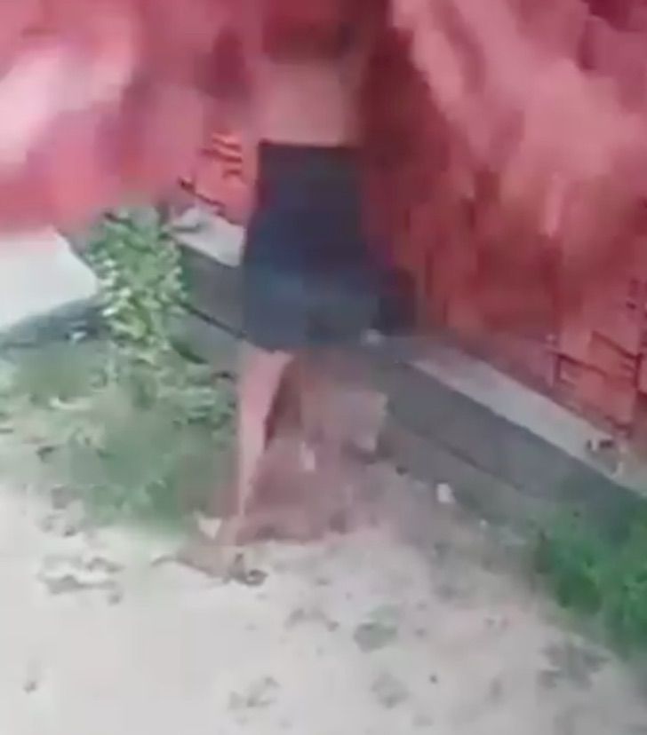 revistapazes.com - Em ato heroico, mãe salva filho de ser esmagado por parede de tijolos; veja o vídeo