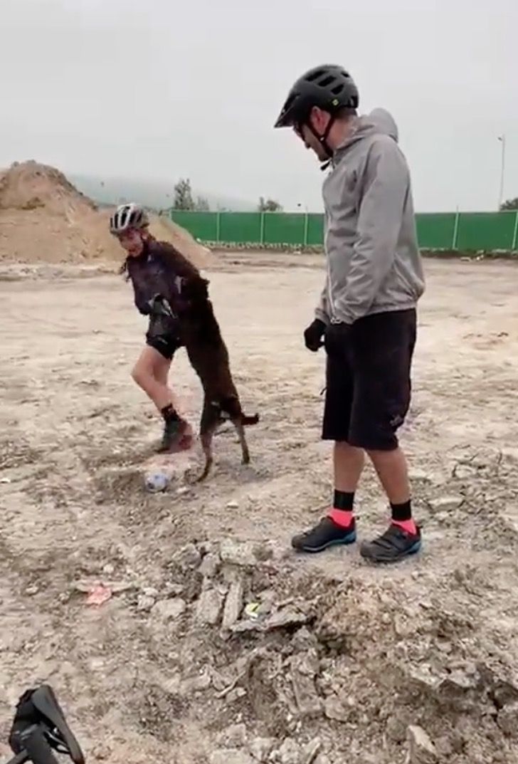 revistapazes.com - Ciclistas libertam cachorrinho que ficou com a cabeça presa dentro de uma garrafa plástica