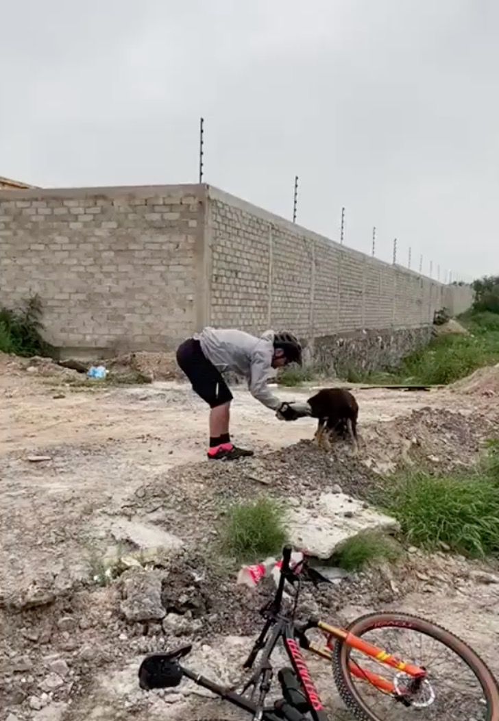 revistapazes.com - Ciclistas libertam cachorrinho que ficou com a cabeça presa dentro de uma garrafa plástica
