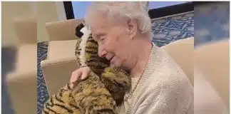 Vovó com demência não para de abraçar ursinho de pelúcia que ganhou de presente de cuidadora