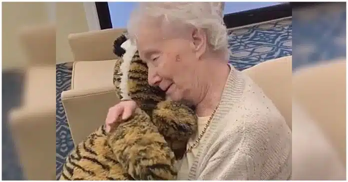 PORTADA-2021-09-20T144334.180 Vovó com demência não para de abraçar ursinho de pelúcia que ganhou de presente de cuidadora