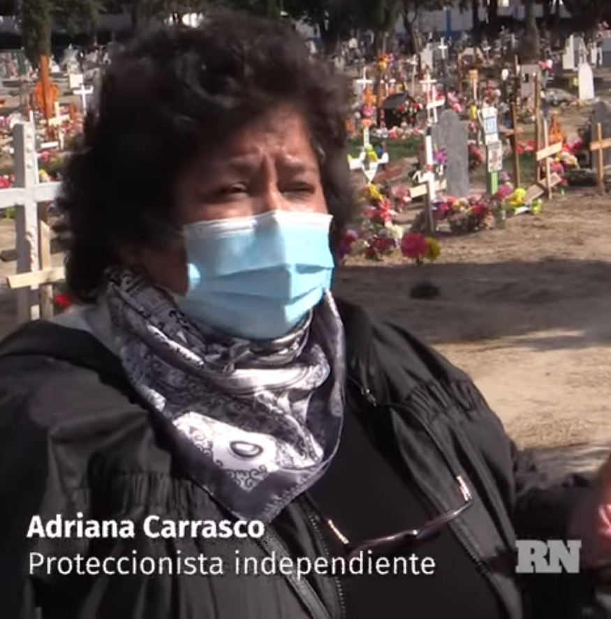 revistapazes.com - Cachorrinho decide 'morar' em cemitério onde seu dono foi enterrado: 'Lealdade até após a morte'